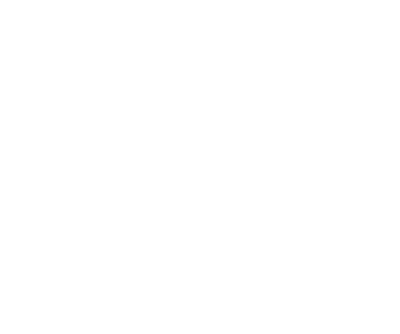 Logo Maison Babuino Roma